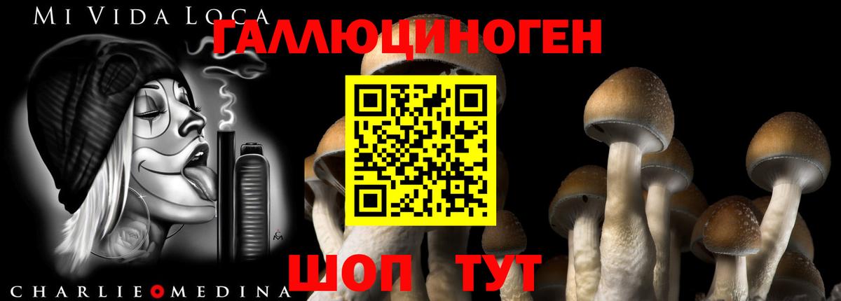 Псилоцибиновые грибы мицелий Ливны
